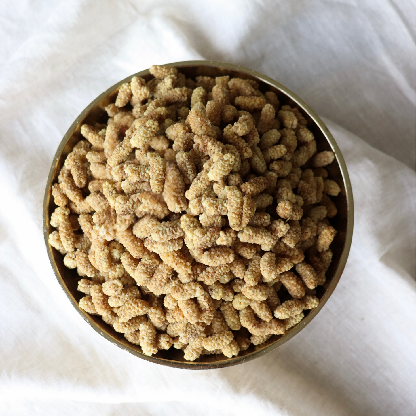 White Mulberry (Iranian)